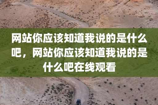 网站你应该知道我说的是什么吧，网站你应该知道我说的是什么吧在线观看