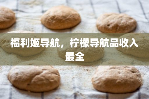 福利姬导航，柠檬导航品收入最全