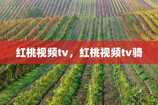 红桃视频tv，红桃视频tv骑