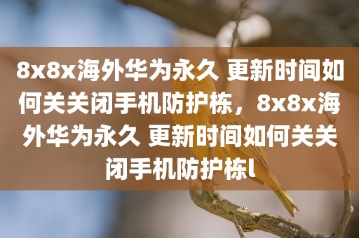 8x8x海外华为永久 更新时间如何关关闭手机防护栋，8x8x海外华为永久 更新时间如何关关闭手机防护栋l