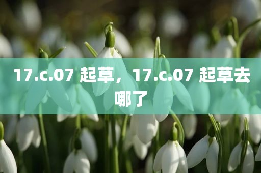 17.c.07 起草，17.c.07 起草去哪了
