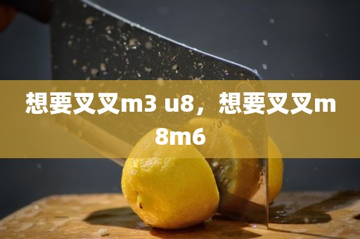 想要叉叉m3 u8，想要叉叉m8m6