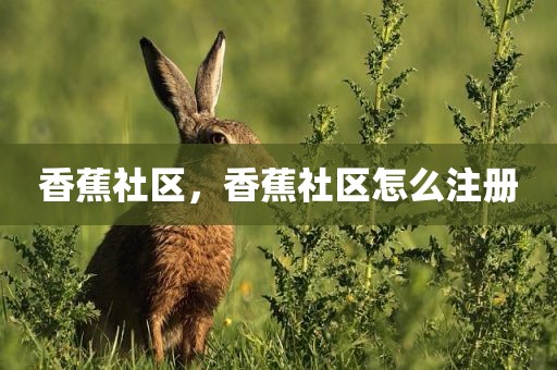 香蕉社区，香蕉社区怎么注册