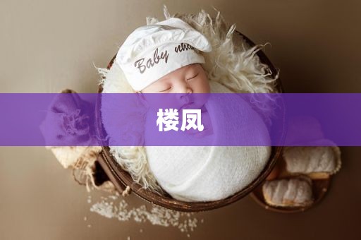 楼凤