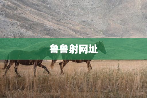 鲁鲁射网址