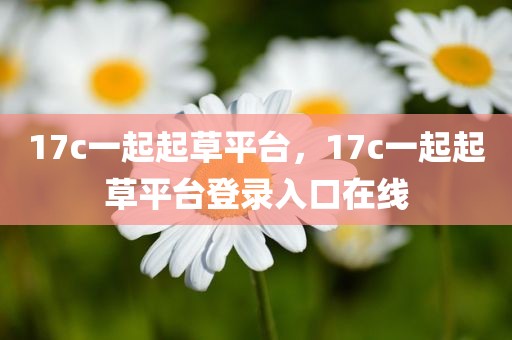 17c一起起草平台，17c一起起草平台登录入口在线