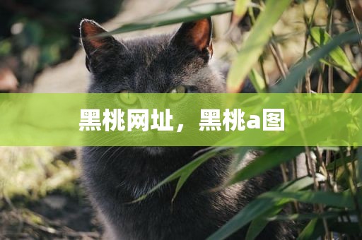 黑桃网址，黑桃a图