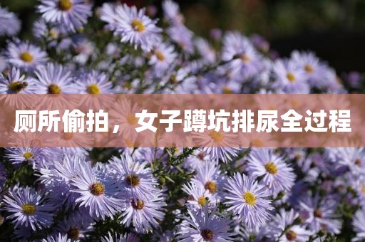 厕所偷拍，女子蹲坑排尿全过程