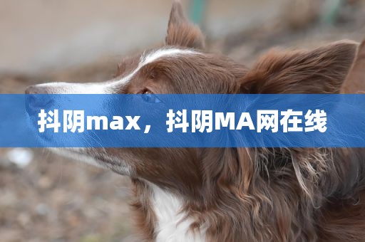 抖阴max，抖阴MA网在线