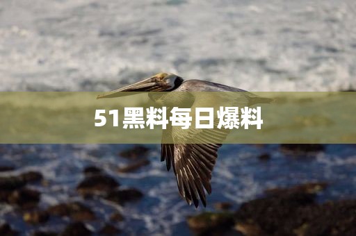 51黑料每日爆料