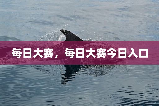 每日大赛，每日大赛今日入口