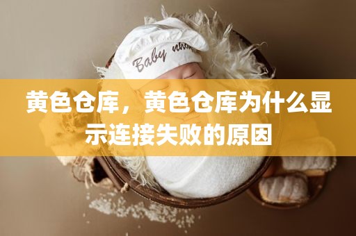 黄色仓库，黄色仓库为什么显示连接失败的原因