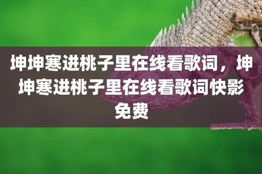 坤坤寒进桃子里在线看歌词，坤坤寒进桃子里在线看歌词快影免费
