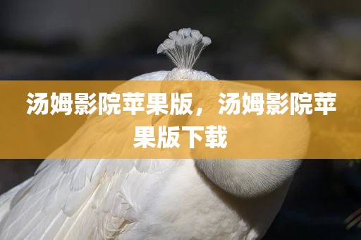 汤姆影院苹果版，汤姆影院苹果版下载