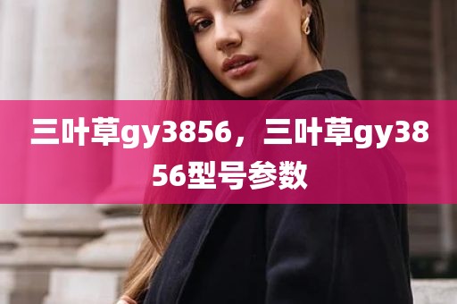 三叶草gy3856，三叶草gy3856型号参数