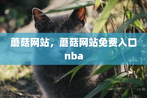 蘑菇网站，蘑菇网站免费入口nba