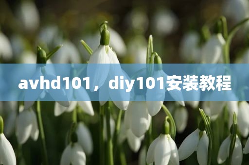 avhd101，diy101安装教程