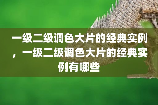 一级二级调色大片的经典实例，一级二级调色大片的经典实例有哪些