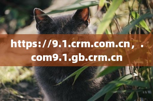 https://9.1.crm.com.cn，.com9.1.gb.crm.cn