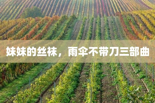 妹妹的丝袜，雨伞不带刀三部曲