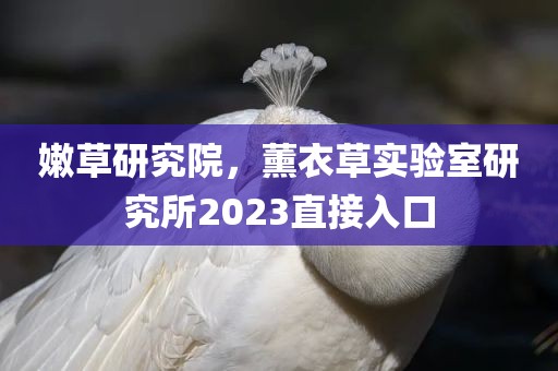 嫩草研究院，薰衣草实验室研究所2023直接入口