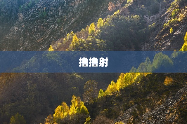 撸撸射
