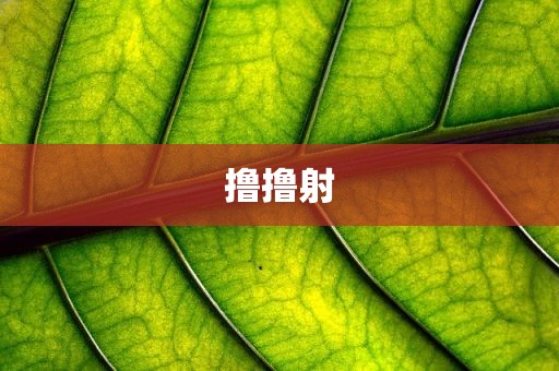 撸撸射