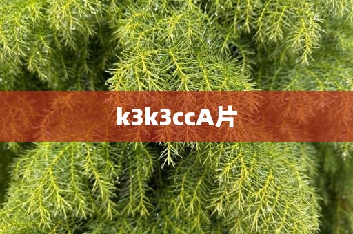 k3k3ccA片