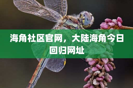 海角社区官网，大陆海角今日回归网址