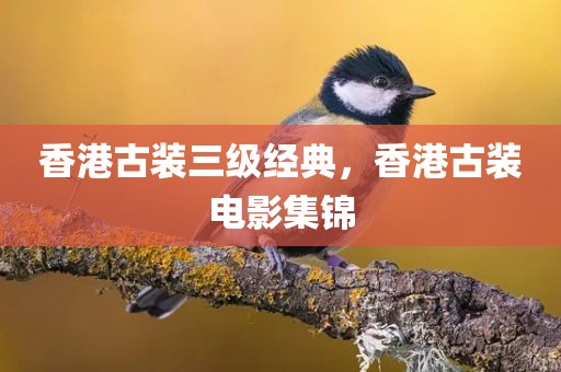 香港古装三级经典，香港古装电影集锦