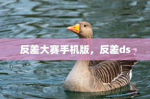 反差大赛手机版，反差ds