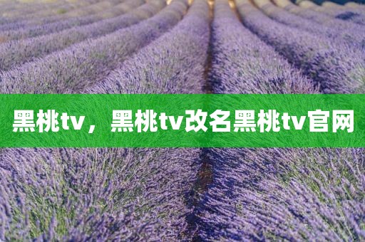 黑桃tv，黑桃tv改名黑桃tv官网