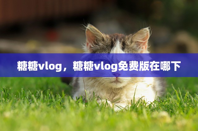 糖糖vlog，糖糖vlog免费版在哪下