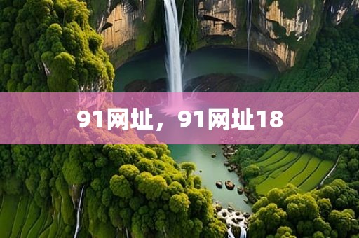 91网址，91网址18