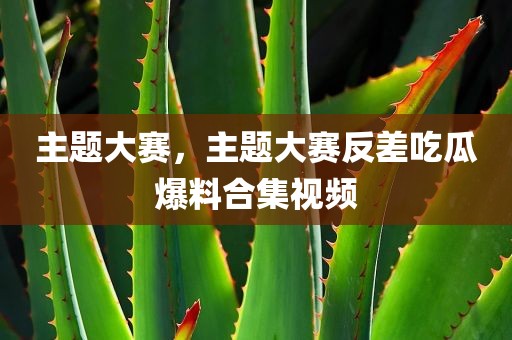 主题大赛，主题大赛反差吃瓜爆料合集视频