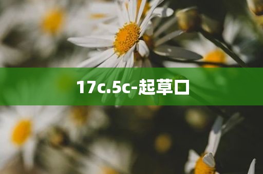 17c.5c-起草口