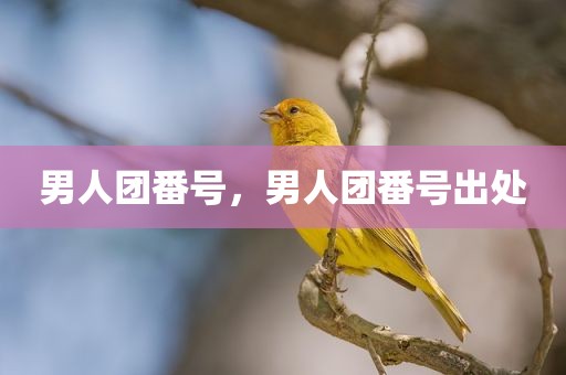 男人团番号，男人团番号出处