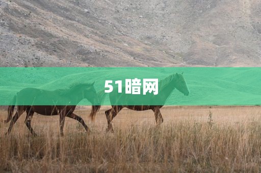 51暗网