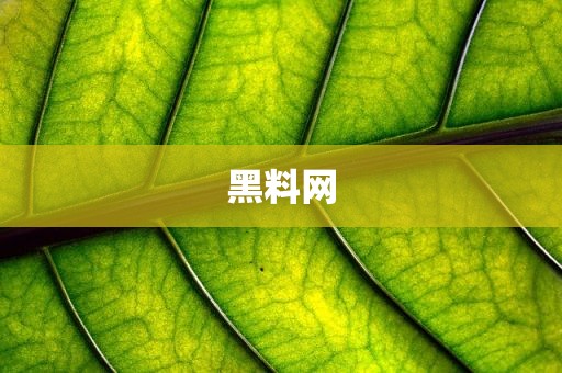 黑料网