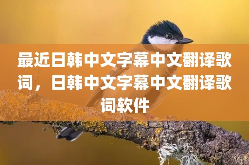 最近日韩中文字幕中文翻译歌词，日韩中文字幕中文翻译歌词软件