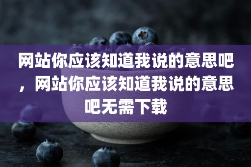 网站你应该知道我说的意思吧，网站你应该知道我说的意思吧无需下载