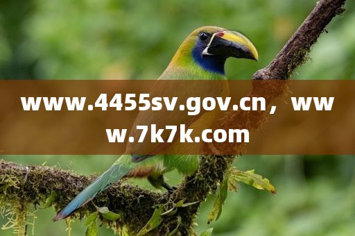 www.4455sv.gov.cn，www.7k7k.com