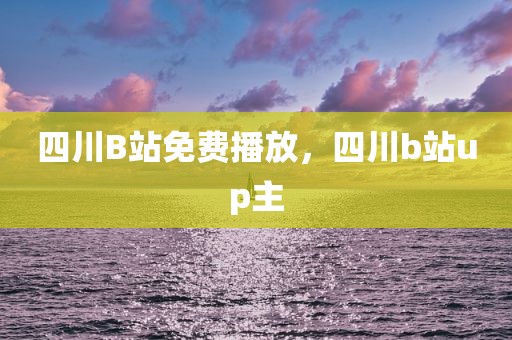 四川B站免费播放，四川b站up主