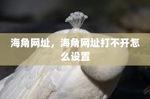 海角网址，海角网址打不开怎么设置