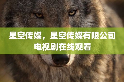 星空传媒，星空传媒有限公司电视剧在线观看