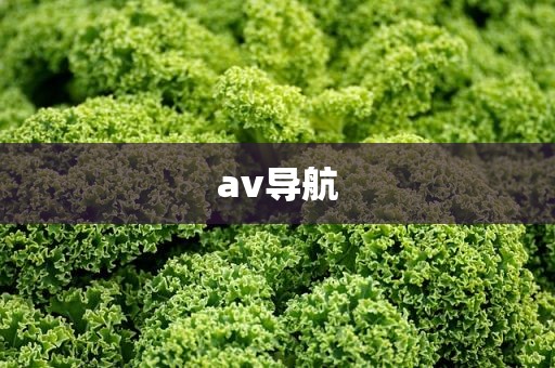 av导航