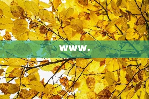 www.
