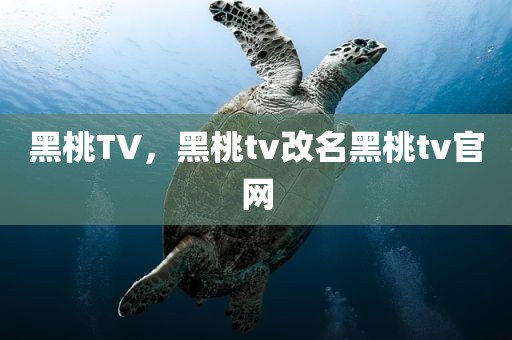 黑桃TV，黑桃tv改名黑桃tv官网