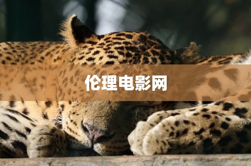 伦理电影网