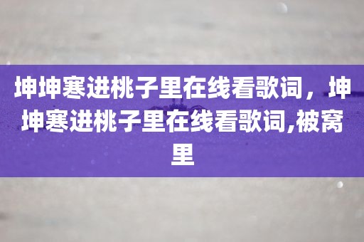 坤坤寒进桃子里在线看歌词，坤坤寒进桃子里在线看歌词,被窝里
